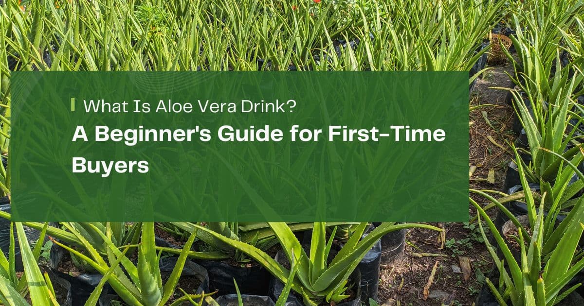 Beginner's Guide to Aloe Vera Drink