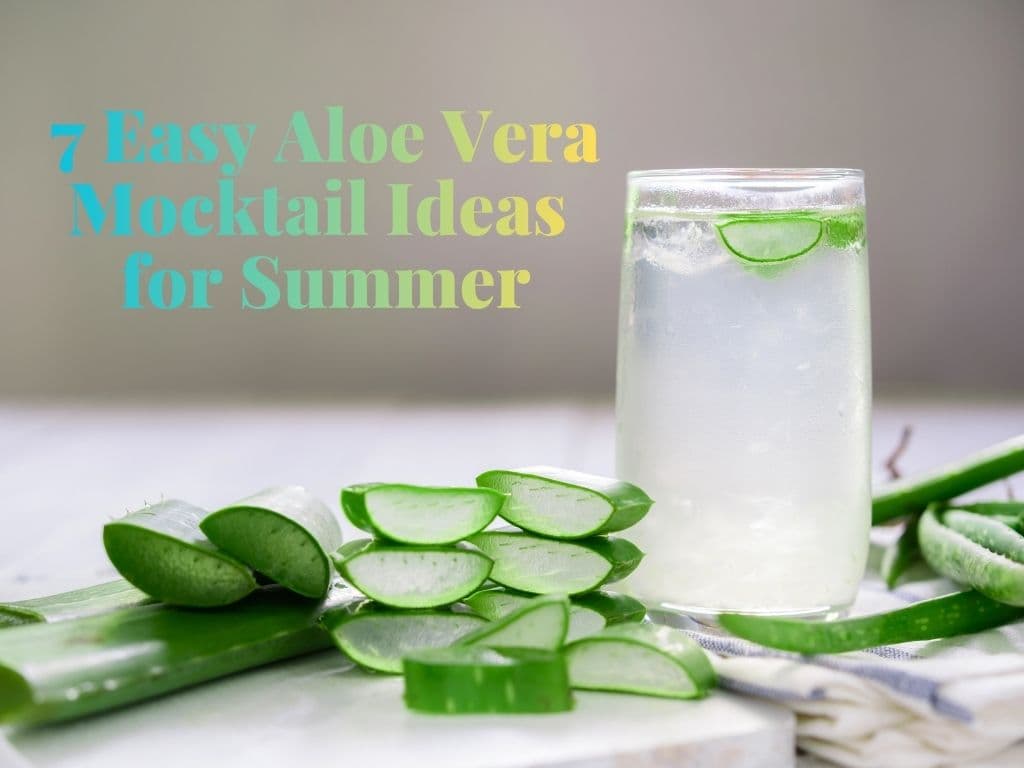 7 Easy Aloe Vera Mocktail Ideas for Summer