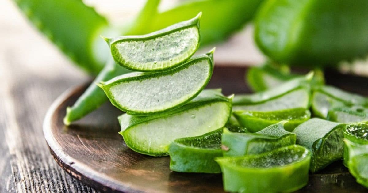 Is Aloe Vera Drink an Acquired Taste or an Easy First Try?