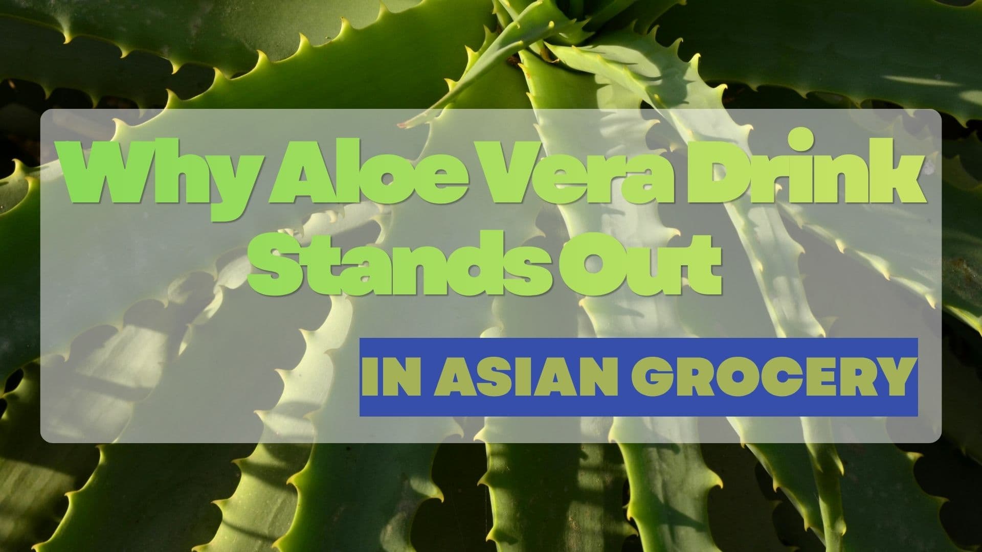 Why Aloe Vera Drink Stands Out in Asian Grocery