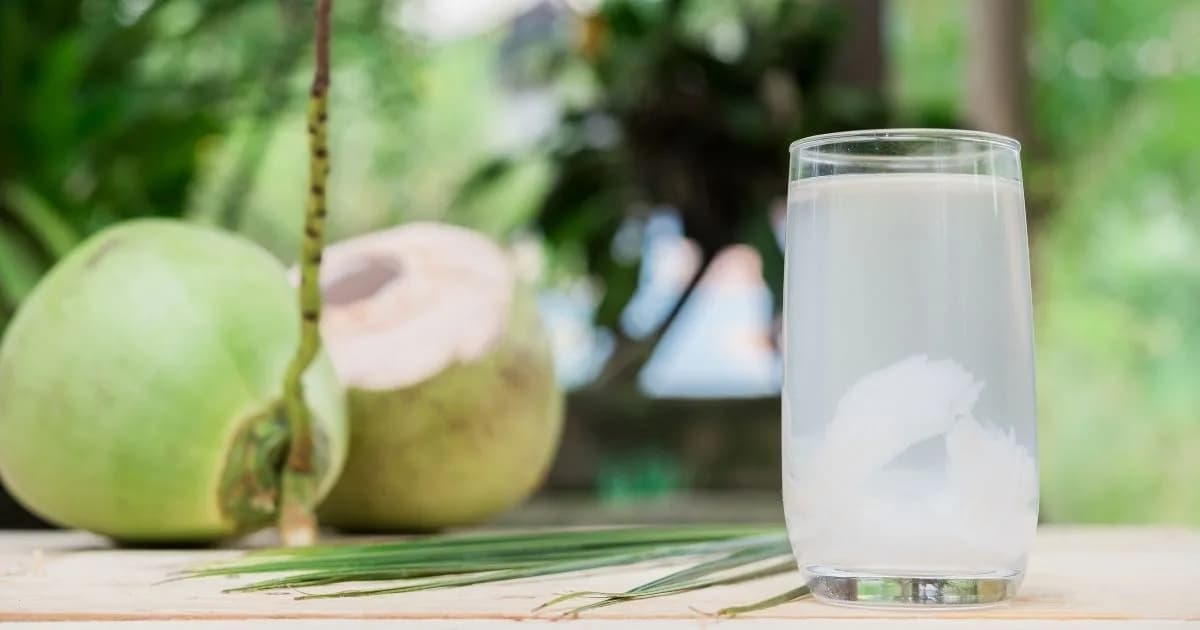 Coconut Water with Pulp Experience