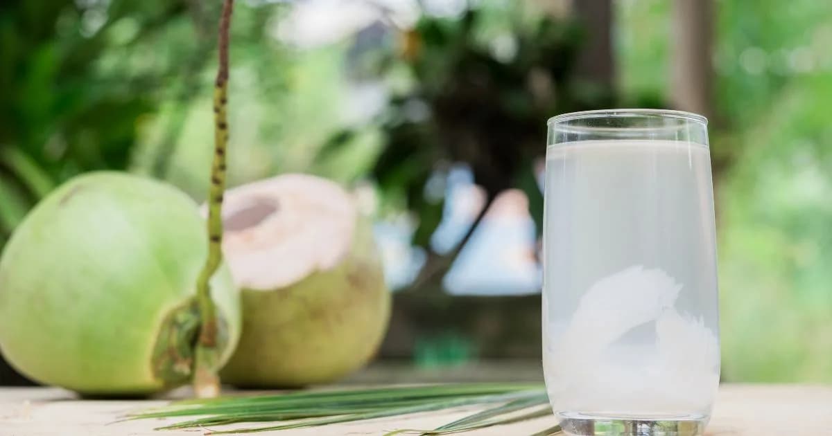 Organic Coconut Water Benefits and Market Potential